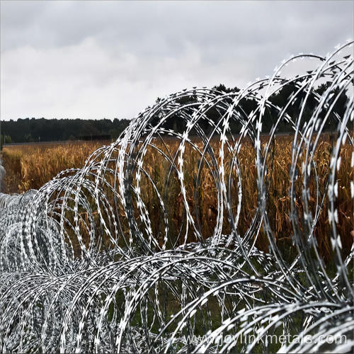 razor barbed spikes wire
